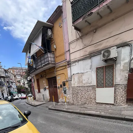Casa Vinci House